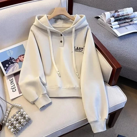 American Letter Embroidered Hooded Pullover Sweatshirt Women Autumn Winter New Fashionable Loose Casual Long-sleeved Top Trendy